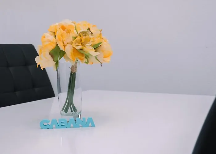 Luminoso Y Comodo Con Parking By * Vigo